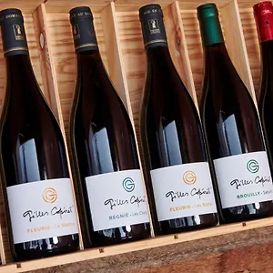 Domaine Gilles Coperet- Artisan-vigneron- D'hotes Les Glycines - , Régnié Frankreich