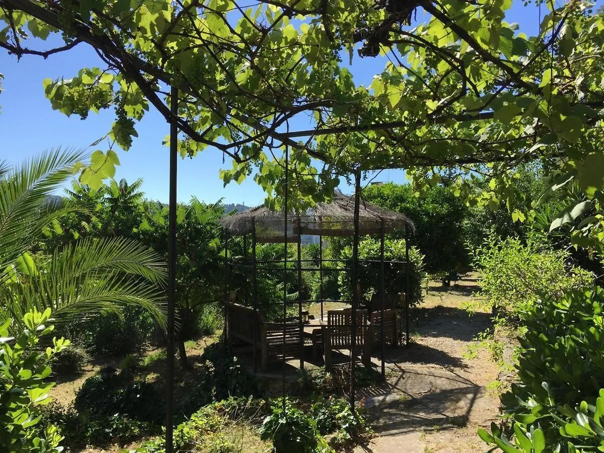 Bed & Breakfast Chambres D'Hotes Cottage Bellevue Cannes
